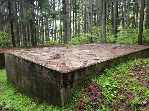 �������i��j